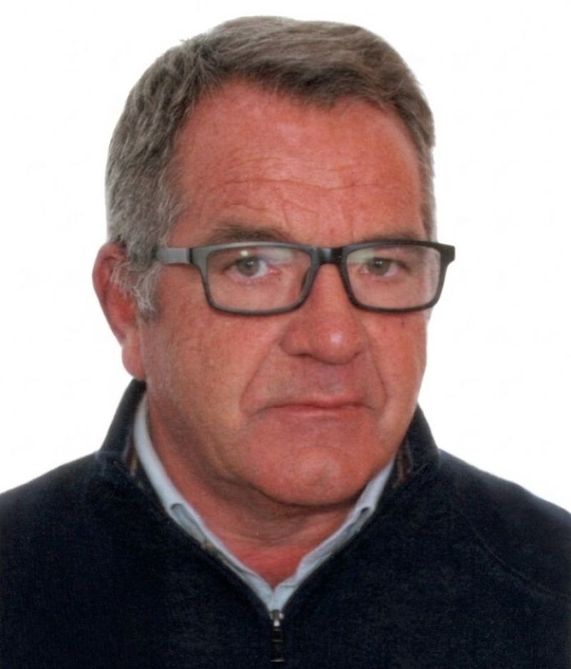 BIONDOLILLO PINO