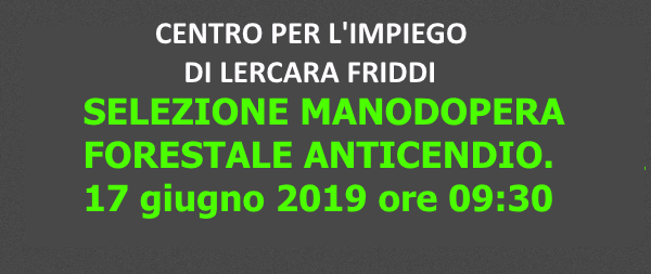 SELEZIONE MANODOPERA FORESTALE ANTICENDIO LUNEDI` 17 GIUGNO 2019 ORE 09:30. 